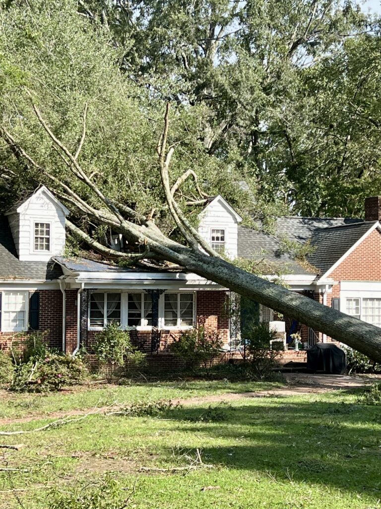 A downed tree on a house in Cherryville NC.