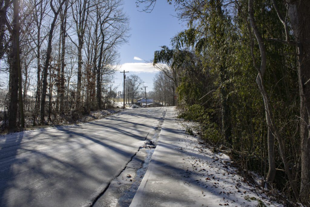 a road with a canopy of trees and snow and ice on the ground. 