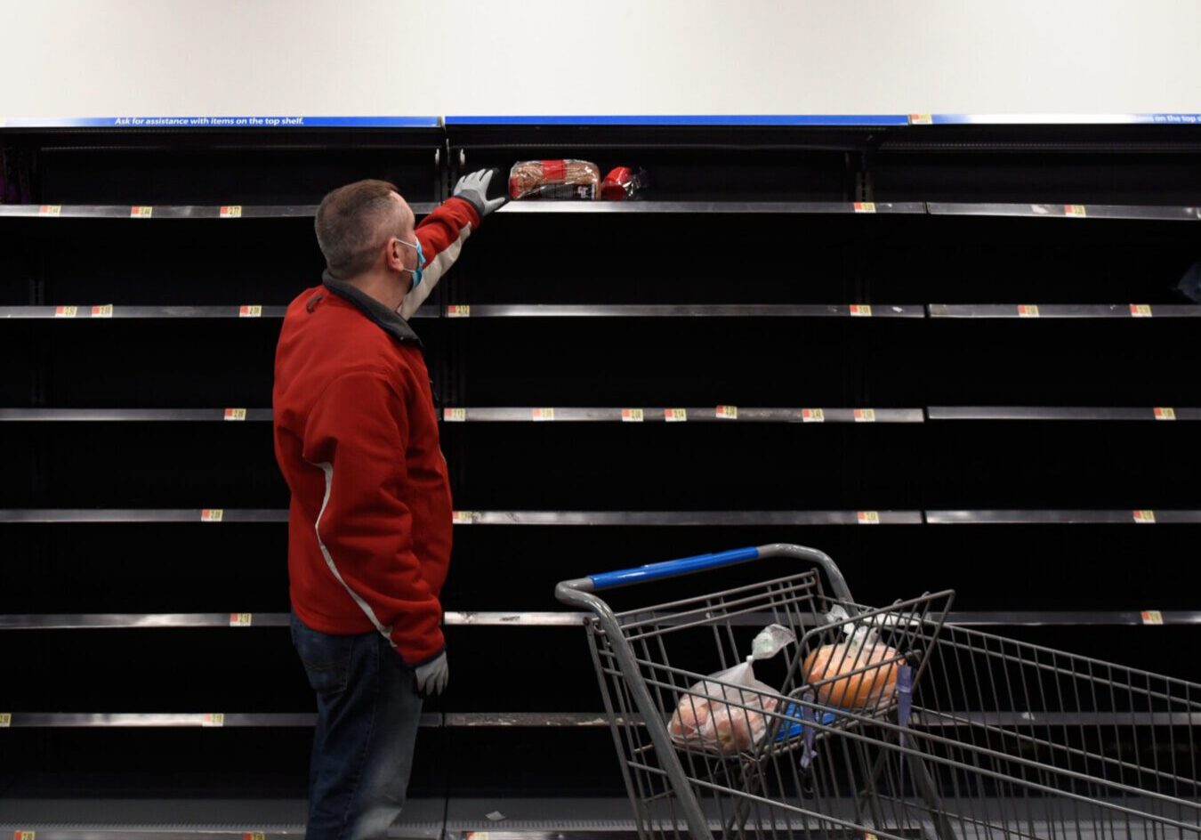 A man is wearing a medical mask at a grocery store reaching for bread with empty shelves for a pandemic emergency concept.