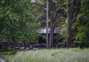 IMG_9697-Enhanced-NR